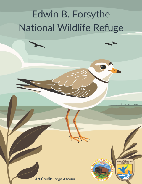 A digital image of a small white shorebird with shades of gray and brown feathers stands on a beach with birds in the sky and a cityscape in the background. Text reads "Edwin B. Forsythe National Wildlife Refuge; Art credit: Jorge Azcona. The Department of the Interior bison emblem and U.S. Fish and Wildlife Service shield are shown.