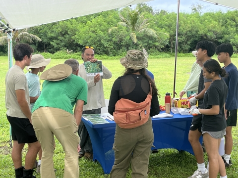 FWS Biologist Kawika Davis showing volunteers native and invasive vines of Guam NWR