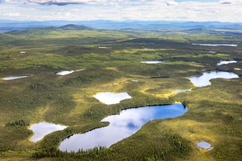 Aerial view of lakes and forest 