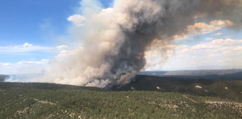 Aerial image of the smoke from a forest fire