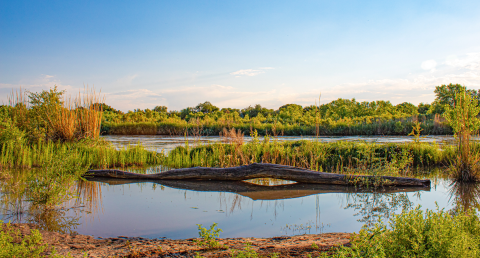 Green vegetation surround a small pond and river at Valle de National Wildlife Refuge.