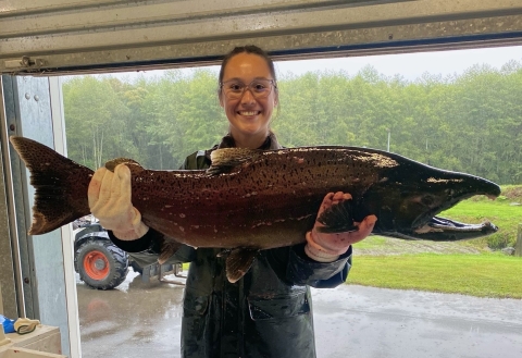 A service intern wearing gloves and green rain gear holds up a large Chinook Salmon. 