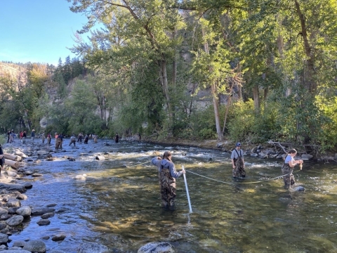 a group of three students wade across the river with a tape measure with a large group of students in the river in the background