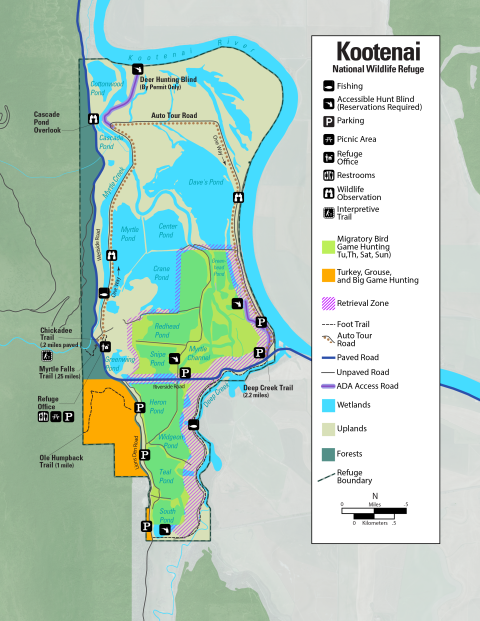 Kootenai National Wildlife Refuge hunting map showing areas for migratory bird game hunting and turkey, grouse and big game hunting. The refuge is covered in labeled bodies of water and its southern border lies along the Kootenai River. There is an Auto Tour route that goes in a loop around the interior of the Refuge. The Migratory Bird Game hunting area is located on the southern part of the Refuge, along Redhead pond, snipe pond, myrtle channel, Greenhead pond, Heron pond, Widgeon pond, Teal pond and sout