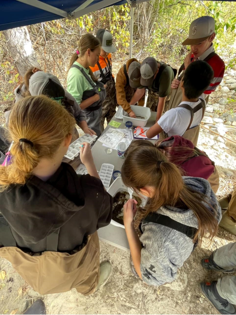 a group of students crowd a table with white tubs full of macroinvertebrates and detritus/decaying leaves