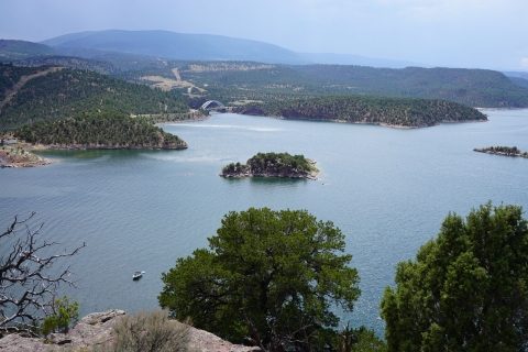 A large body of water with small islands of land covered in plants and trees