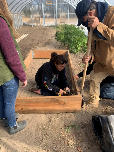 3 Individuals building a wooden crate in a greenhouse