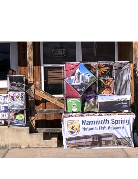 A display with photos of Mammoth Spring National Fish Hatchery.