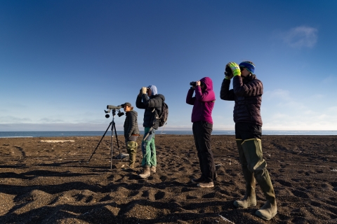 Birders looking at Arctic seabirds