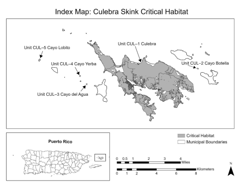 a black and white map with shading