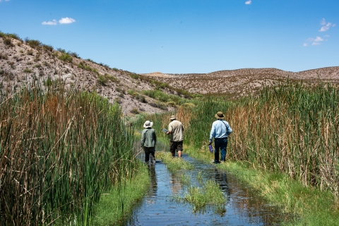 three people walk down a flooded road with wetland plants on either side with desert hills in the background