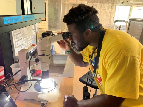 A young man in a bright yellow shirt leans in to look through a microscope in a lab. 