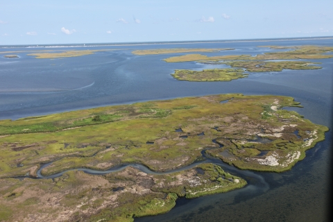 Aerial view of Islands and wetlands at Edwin B. Forsythe NWR