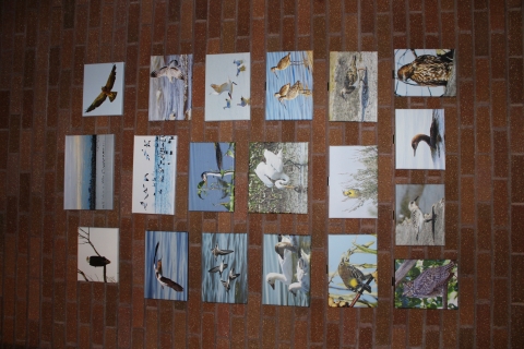 Eighteen canvases of printed on photos of wild birds are displayed on a brick wall.