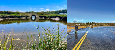 Photo collage of a tidal restriction and scour pool, and a flooded coastal road with person walking along road