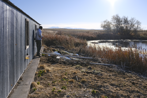 A man stands next to a small building with metal siding. In the background is a pond, tree, sun, and sky.