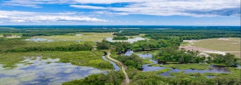 An aerial view of Weweantic River wetlands