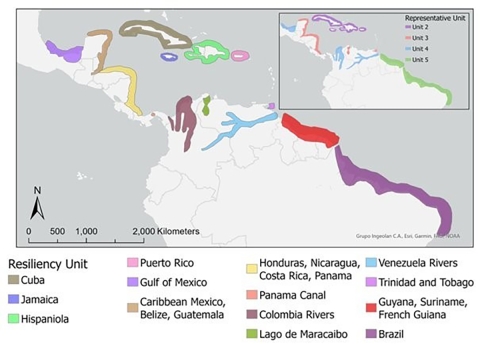 Map of Antillean manatee resiliency units