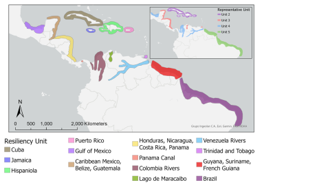 Map of Antillean manatee resiliency units