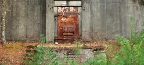 A large rusty door in a concrete wall. Old steps lead up to the doors with a few scattered, young evergreen trees. 