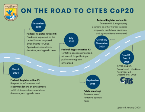 An infographic, titled, "On the Road to CITES CoP20" which had a road running horizontally through the image with blue dots that have dates and what is happening when.