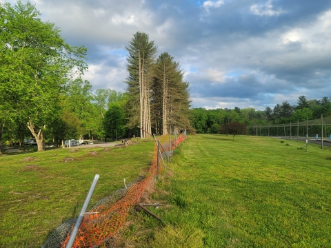 Hatchery fence destroyed by high winds and downed trees