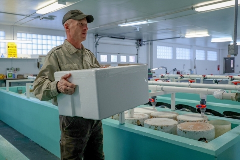 USFWS staff member carriers a cooler.