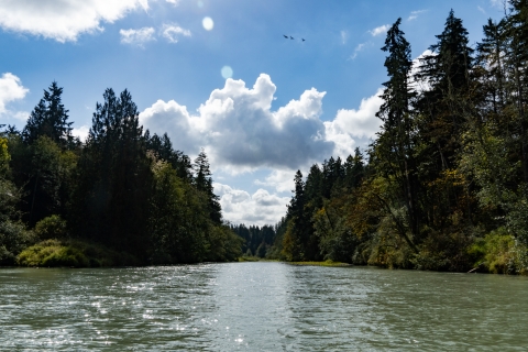 A river with forest on both shores and a partly cloudy sky. 