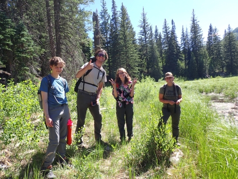 4 students standing in a green field with tall trees in the background