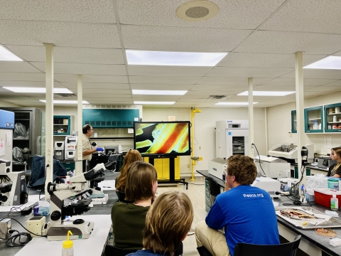 Four people sit in chairs in the lab at look towards the front of the lab where the instructor talks about a fish parasite.