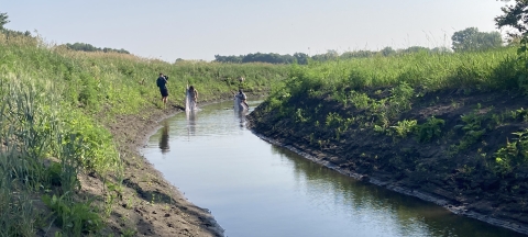 Two female biologists drag a seine net through an oxbow to sample for the endangered topeka shiner. 