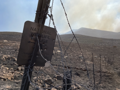 Photo shows the refuge boundary sign that has been burned in the Border 2 Fire. 