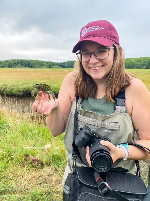 A service member wearing waders holds a camera in one hand and a European Green Crab in the other. Marshland can be seen in the background. 