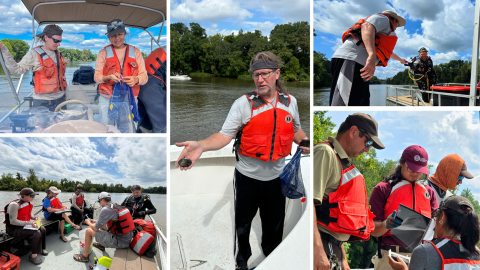 A collage of images showing biologists and divers working on boats to identify and display mussels. Scenes include people driving boats, holding mussels out int their hands, and leaning in as groups to identify species. 