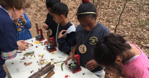 A diverse class of children look through microscopes on a table set up outside in a forest