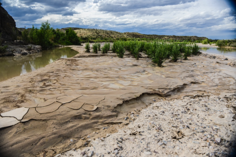 Sand by a creek with plants nearby