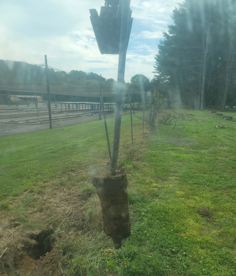 A fence post that has been pulled up out of the ground