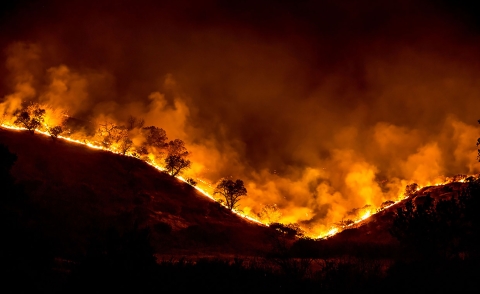 A fire burning across a forest landscape