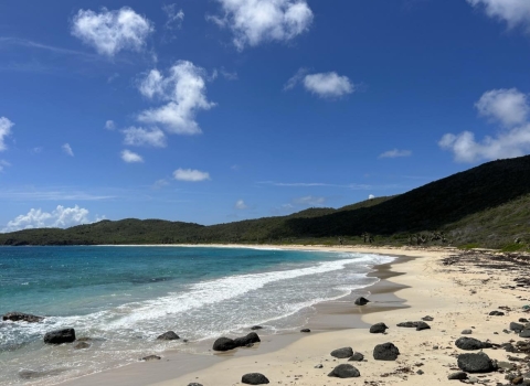 View of the stunning and vital beach at Culebra NWR, an essential nesting site for sea turtles.