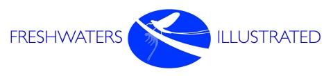 Blue circle with dragonfly image and text that reads "Freshwaters Illustrated"