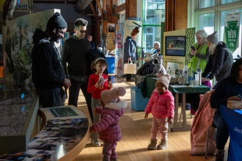 Adults and children gather to look at wildlife exhibits.