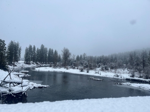 A creek with frozen edges and snow-covered riverbanks