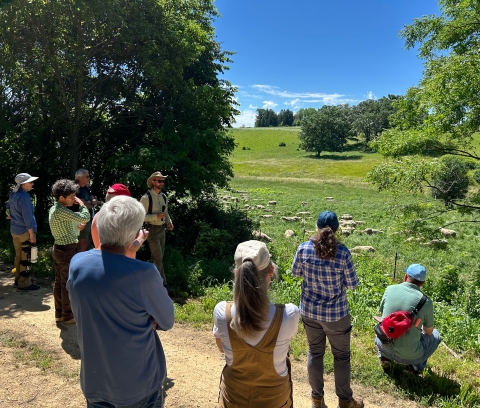 A man addresses a group as they look at a flock of sheep in a field.