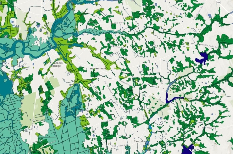 Screen capture of National Wetlands Inventory's web map services displaying various wetland polygons and types overlaying a topographic map.