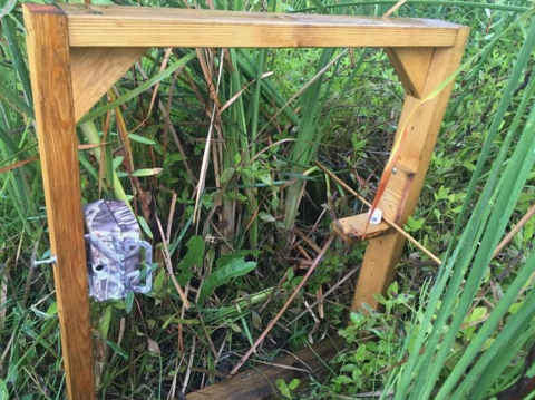 A wooden structure in a grassy area