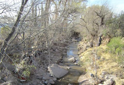 A creek surrounded by bare trees