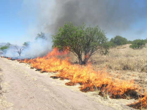 A controlled fire burns on a grassland