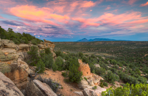 A cliff overlooking a forested landscape