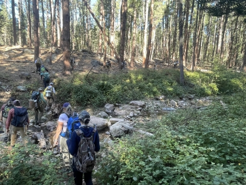 People hiking in the woods over uneven terrain with backpacks and buckets of fish on their backs. 