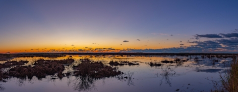 sunset at a coastal marsh